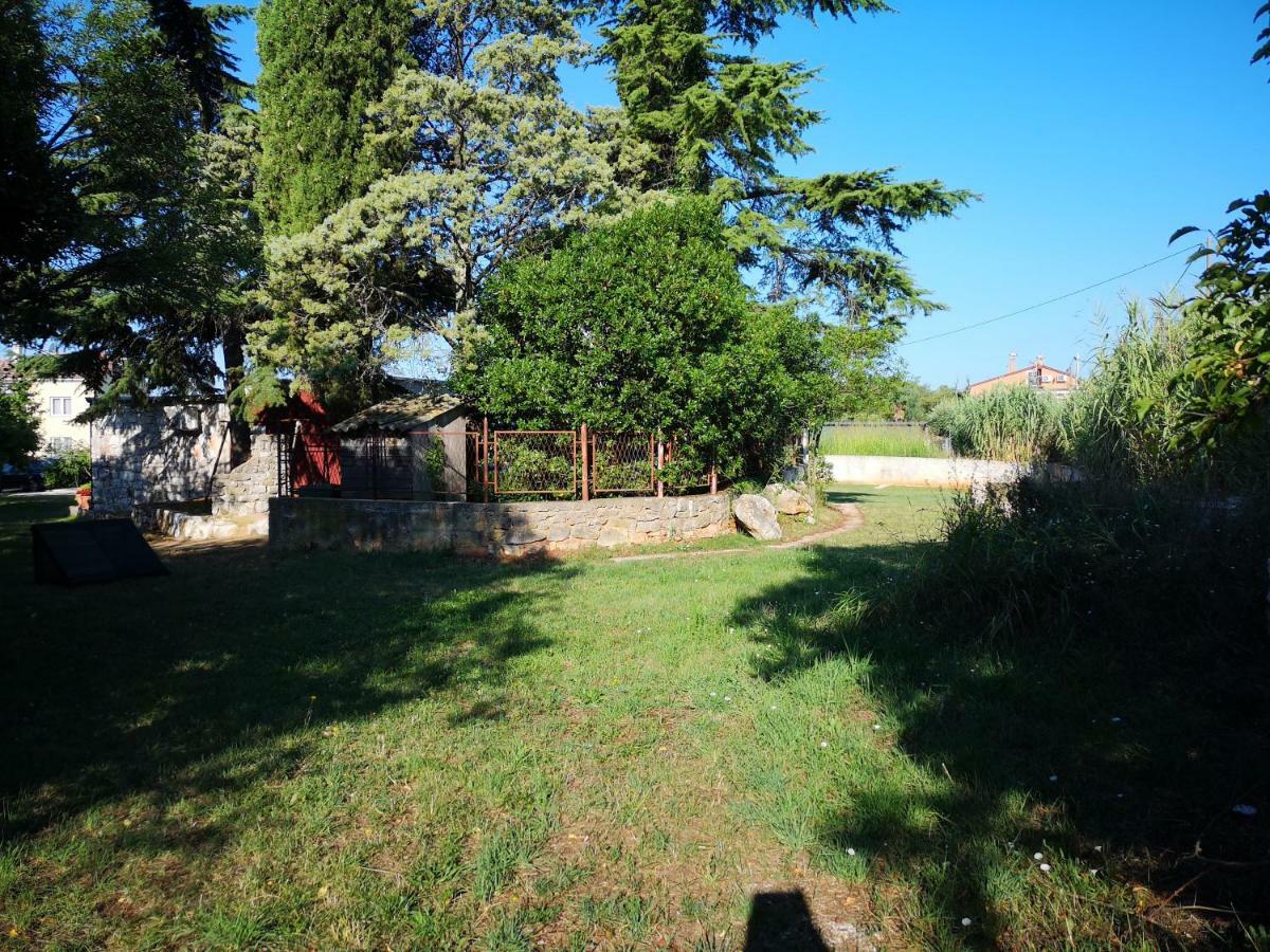 Radmila Holiday home